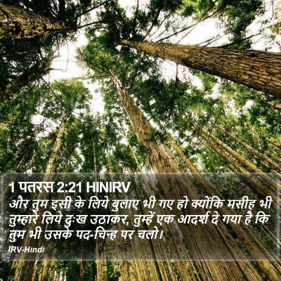1 पतरस 2:21 HINIRV Bible Verse Image