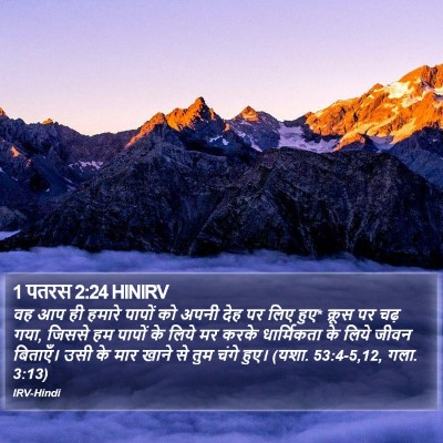 1 पतरस 2:24 HINIRV Bible Verse Image