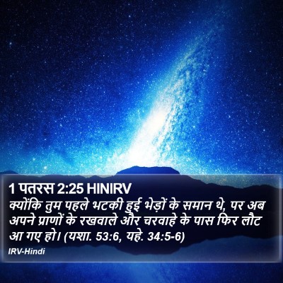 1 पतरस 2:25 HINIRV Bible Verse Image