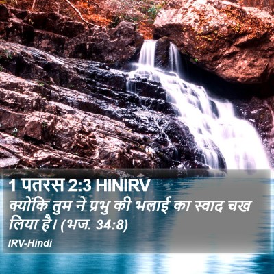 1 पतरस 2:3 HINIRV Bible Verse Image
