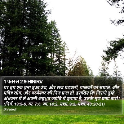 1 पतरस 2:9 HINIRV Bible Verse Image