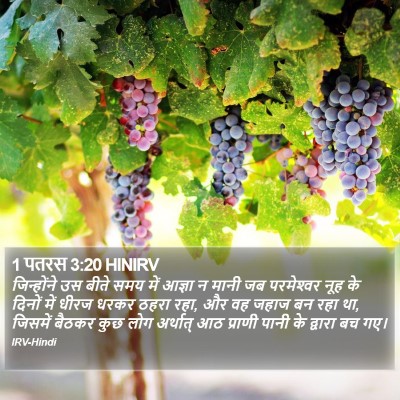 1 पतरस 3:20 HINIRV Bible Verse Image