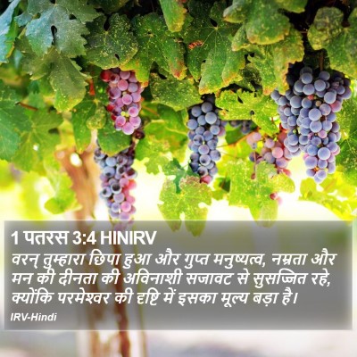 1 पतरस 3:4 HINIRV Bible Verse Image