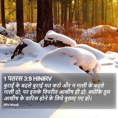 1 पतरस 3:9 HINIRV Bible Verse Image