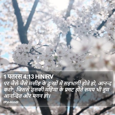 1 पतरस 4:13 HINIRV Bible Verse Image