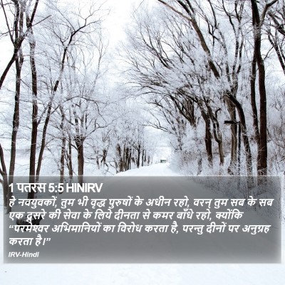 1 पतरस 5:5 HINIRV Bible Verse Image