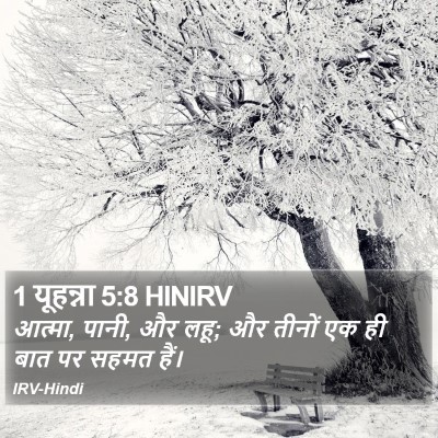 1 यूहन्ना 5:8 HINIRV Bible Verse Image