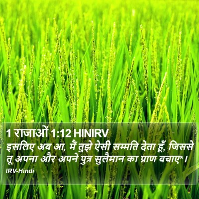 1 राजाओं 1:12 HINIRV Bible Verse Image