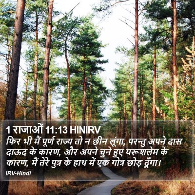 1 राजाओं 11:13 HINIRV Bible Verse Image