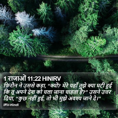 1 राजाओं 11:22 HINIRV Bible Verse Image
