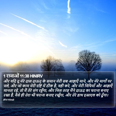 1 राजाओं 11:38 HINIRV Bible Verse Image