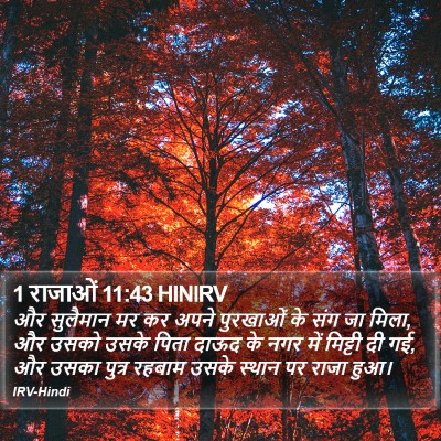 1 राजाओं 11:43 HINIRV Bible Verse Image