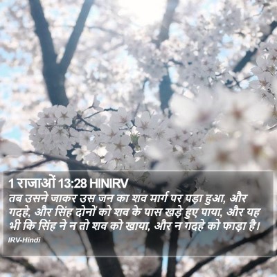 1 राजाओं 13:28 HINIRV Bible Verse Image