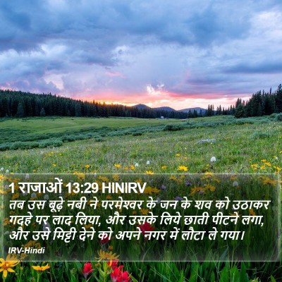 1 राजाओं 13:29 HINIRV Bible Verse Image