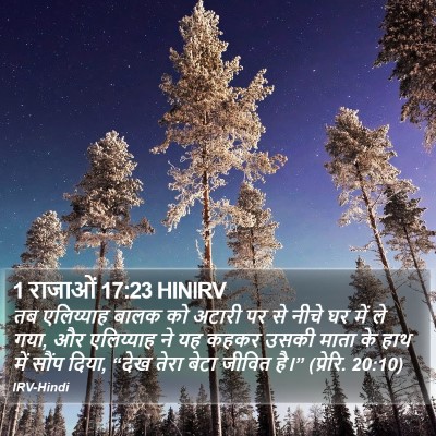 1 राजाओं 17:23 HINIRV Bible Verse Image