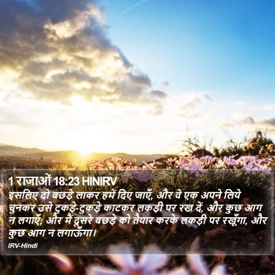 1 राजाओं 18:23 HINIRV Bible Verse Image