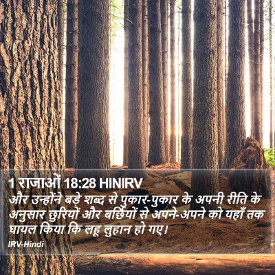 1 राजाओं 18:28 HINIRV Bible Verse Image