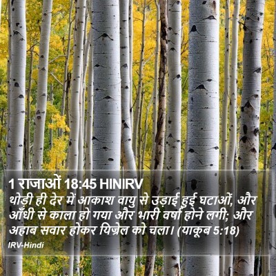 1 राजाओं 18:45 HINIRV Bible Verse Image