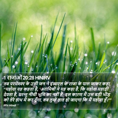 1 राजाओं 20:28 HINIRV Bible Verse Image