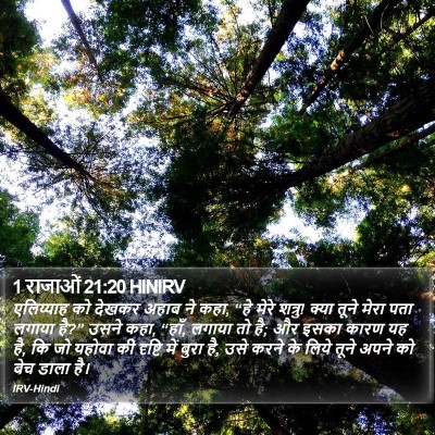 1 राजाओं 21:20 HINIRV Bible Verse Image