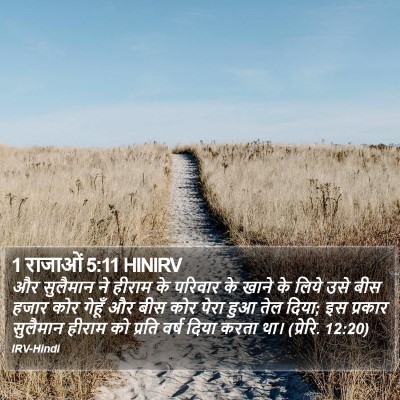 1 राजाओं 5:11 HINIRV Bible Verse Image