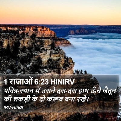 1 राजाओं 6:23 HINIRV Bible Verse Image