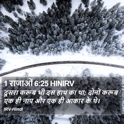1 राजाओं 6:25 HINIRV Bible Verse Image