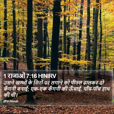 1 राजाओं 7:16 HINIRV Bible Verse Image