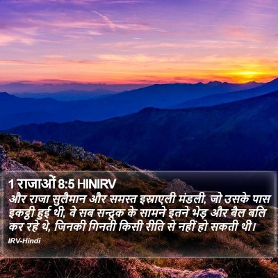 1 राजाओं 8:5 HINIRV Bible Verse Image