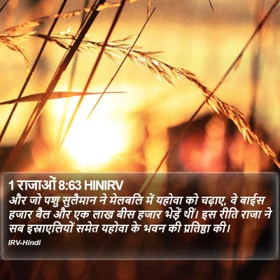 1 राजाओं 8:63 HINIRV Bible Verse Image