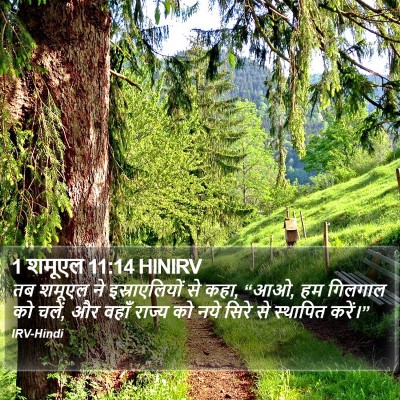 1 शमूएल 11:14 HINIRV Bible Verse Image