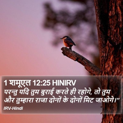 1 शमूएल 12:25 HINIRV Bible Verse Image