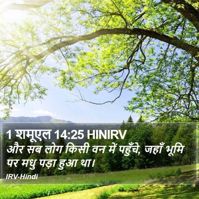 1 शमूएल 14:25 HINIRV Bible Verse Image
