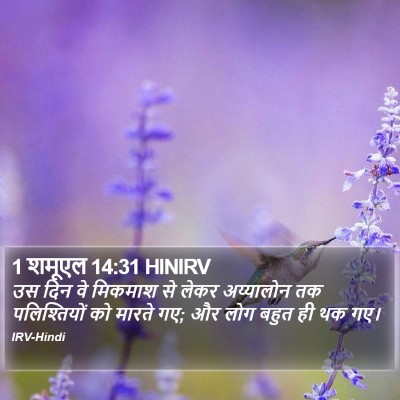 1 शमूएल 14:31 HINIRV Bible Verse Image