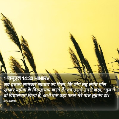 1 शमूएल 14:33 HINIRV Bible Verse Image