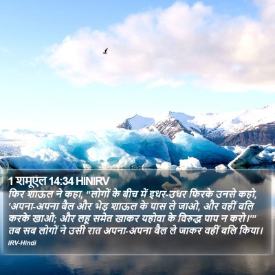 1 शमूएल 14:34 HINIRV Bible Verse Image