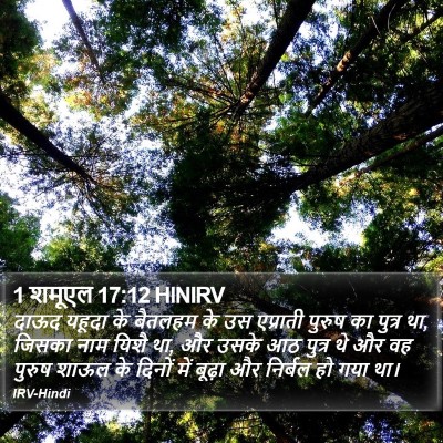 1 शमूएल 17:12 HINIRV Bible Verse Image