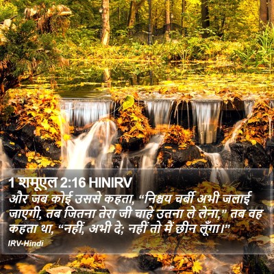 1 शमूएल 2:16 HINIRV Bible Verse Image