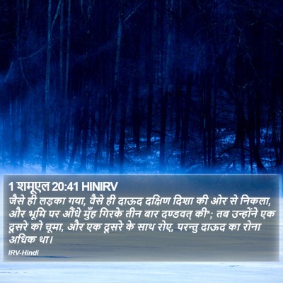 1 शमूएल 20:41 HINIRV Bible Verse Image