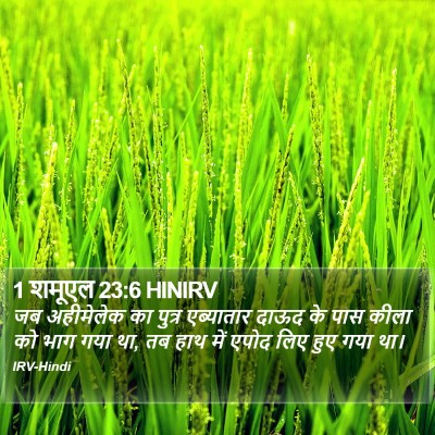 1 शमूएल 23:6 HINIRV Bible Verse Image
