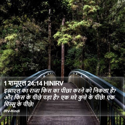 1 शमूएल 24:14 HINIRV Bible Verse Image