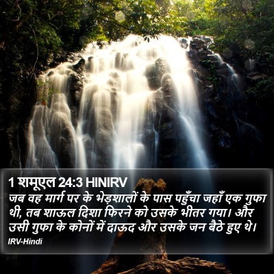 1 शमूएल 24:3 HINIRV Bible Verse Image