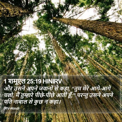 1 शमूएल 25:19 HINIRV Bible Verse Image