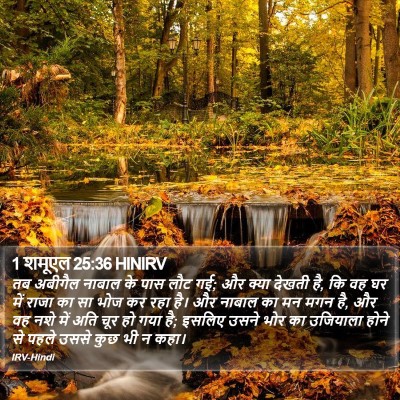1 शमूएल 25:36 HINIRV Bible Verse Image
