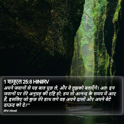 1 शमूएल 25:8 HINIRV Bible Verse Image
