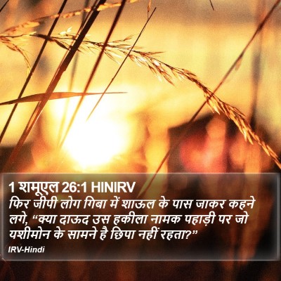1 शमूएल 26:1 HINIRV Bible Verse Image