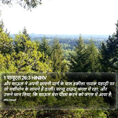 1 शमूएल 26:3 HINIRV Bible Verse Image