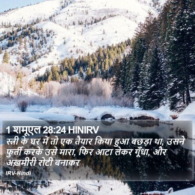 1 शमूएल 28:24 HINIRV Bible Verse Image