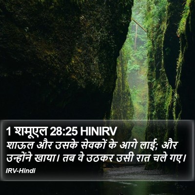 1 शमूएल 28:25 HINIRV Bible Verse Image