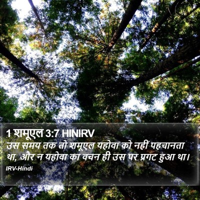 1 शमूएल 3:7 HINIRV Bible Verse Image